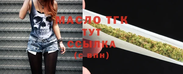 шишки Белоозёрский