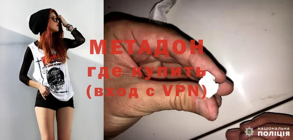 шишки Белоозёрский