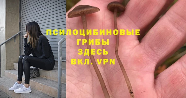 шишки Белоозёрский