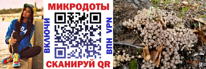 MEGA зеркало  купить наркотики цена  Среднеуральск  Псилоцибиновые грибы мухоморы 