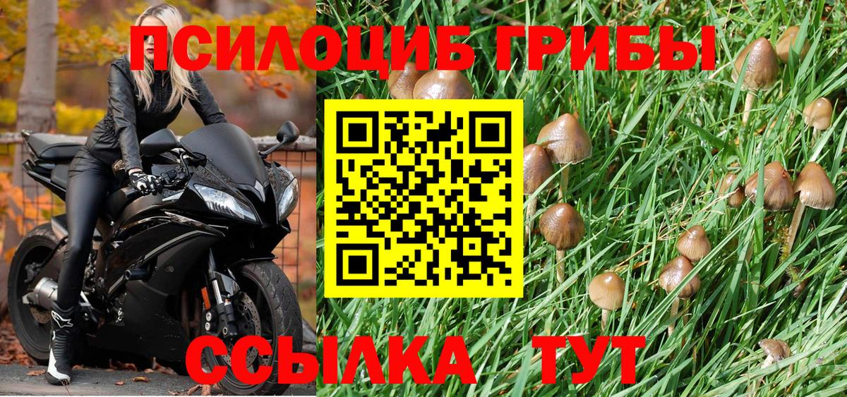 Псилоцибиновые грибы ЛСД Среднеуральск